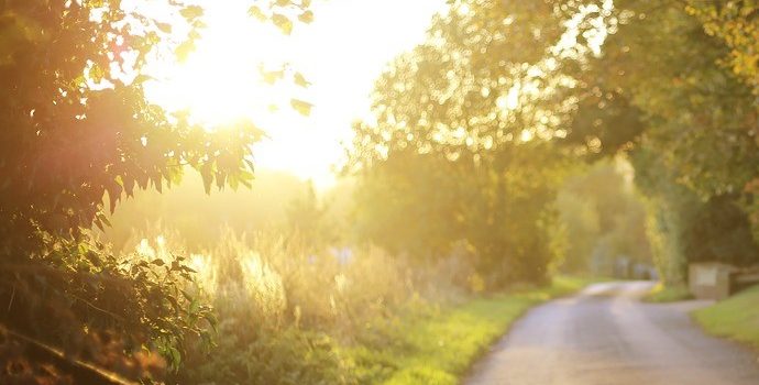 Waar kom ik eigenlijk mijn bed voor uit? Morning Inspiration