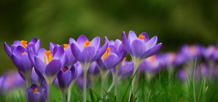 Eindelijk de zonnebril weer op, laat de lente maar komen! Eindelijk de zonnebril weer op, laat de lente maar komen!